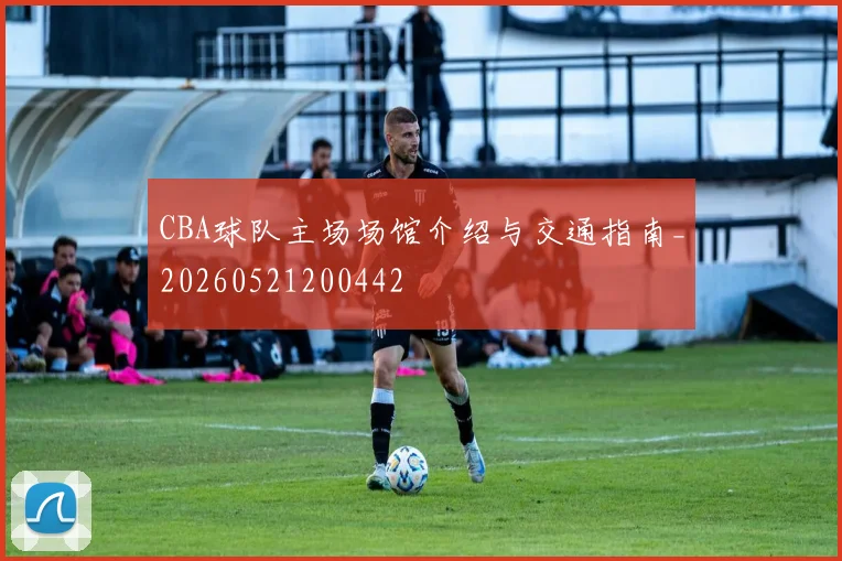CBA球队主场场馆介绍与交通指南_20260521200442